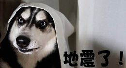 噱头还是刚需？从能预测地震的APP扯起