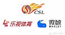 乐视微鲸玩暧昧，到底是什么鬼？好基友一起打天下？