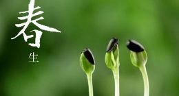 春天来了，内容创业路上都有哪些坑？