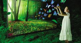 真4K大片要来了