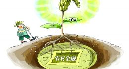 农户心声才是农村金融的方向