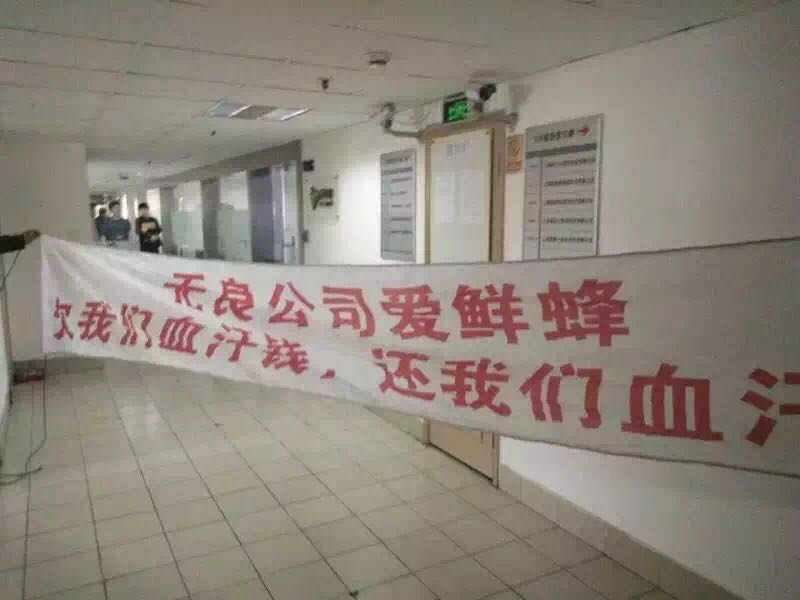 56f3b4891ab87.jpg