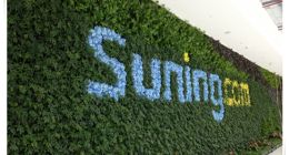 2015年苏宁云商线上增长94.93% O2O零售价值凸显