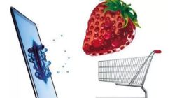 小船说翻就翻，是谁在背后操控着生鲜电商的生与死？