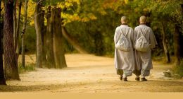 互联网+能否挽救佛教传承？