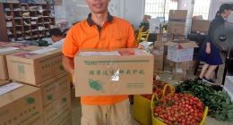 巨头都做不好的生鲜电商，EMS极速鲜能行吗？