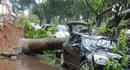 广州深圳台风肆虐 典典养车发布“风暴救援令”