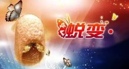 UC脱茧蜕变，移动资讯市场格局再生变