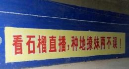 响铃：主打素人直播，这会是石榴直播（六间房）的解药还是春药？