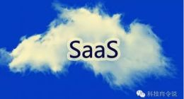 入驻平台or电商SaaS 谁才是中小企业的护身符？