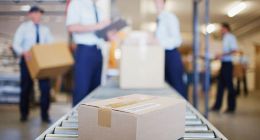 携手“一带一路” 远成筑造西部“物流梦”