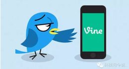 Vine已死，秒拍抱团崛起，同是视频社交差距在哪？