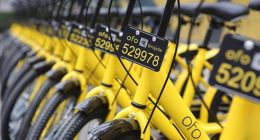 单车战争正酣，但平台将成为最终收割者