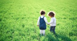 互联网公益众筹中，我们到底该相信谁？