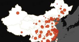 全国元旦出行需求将上涨79.2%，北上广深涨幅均超87%