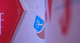 2018年支付宝种树养鸡大数据公布：小鸡被揍超30亿次