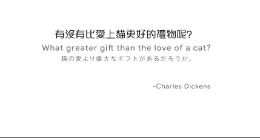 谷歌发布日本Google Home暖心广告：这是养猫人才懂的幸福