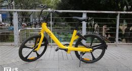 顺丰或先拿钱 ofo半个月退24万户押金