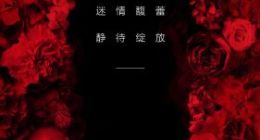 1月10日见!官方预告华为Mate 20系列馥蕾红配色