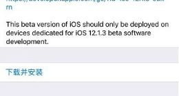 苹果iOS 12.1.3开发者预览版推送 专注微小更改和错误修复