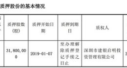华大基因控股股东质押3180万股股权 用于融资