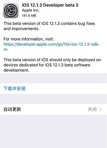 苹果iOS 12.1.3开发者预览版推送 专注微小更改和错误修复