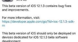 苹果iOS 12.1.3开发者预览版/公测版Beta 3发布