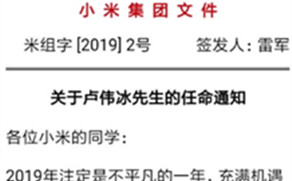 雷军正式任命卢伟冰为小米集团副总裁 负责红米相关业务_292