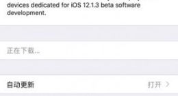 苹果iOS 12.1.3开发者预览版/公测版Beta 4发布