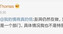 小米产品总监王腾：澎湃处理器还会有