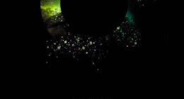 张一鸣、王欣、罗永浩今天扎堆发布社交产品 三款产品都长什么样？