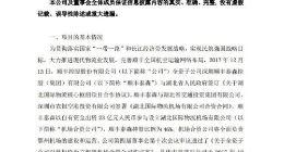 顺丰控股：国家发改委批复同意新建湖北鄂州民用机场