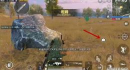 绝地求生刺激战场烤鸡出现方法介绍 吃鸡后怎么吃烤鸡