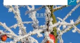 微软必应搜索主站现大规模故障 二级域名网址可访问