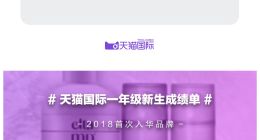 天猫国际2018年新入驻海外品牌GMV整体同比增长119%