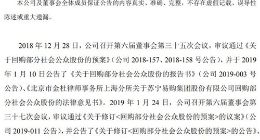 苏宁易购首次回购公司股份 支付总金额4924.85万元