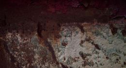 ​比特大陆新生意：云算力能曲线救国吗？