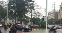 云天励飞行人闯红灯抓拍系统佛山试点1个月 抓拍逾4万人次