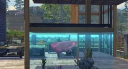 明日之后血红龙在哪 钓血红龙位置一览