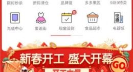 拼多多：今年将继续联合百大品牌 定向直补不低于5亿元