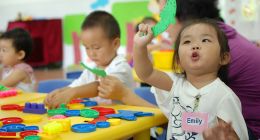 家园共育赔本赚吆喝：盈利或成行业顽疾？