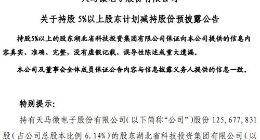 深天马A：持股5%以上股东计划减持不超过4096万股公司股份