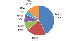 中国视频云市场格局已定，阿里云成第一大厂商