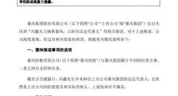 暴风集团否认冯鑫卸任法定代表人 仍是公司控股股东和实控人