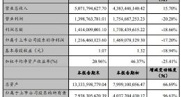 赣锋锂业2018年净利润达12亿元 同比减少17.2%