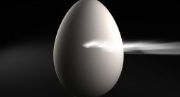 巨头密集调整：八大变化看懂2019互联网趋势