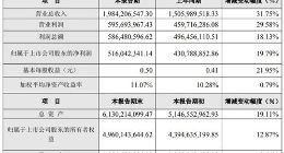 东方国信2018年实现营收19.84亿元 同比增长31.75%