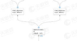 罗永浩退出聊天宝股东行列 王威成公司最终受益人