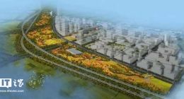 支付宝蚂蚁森林上线新树种湿地松 将种在杭州亚运村