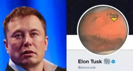 “网红”马斯克将自己推特展示名改为Elon Tusk